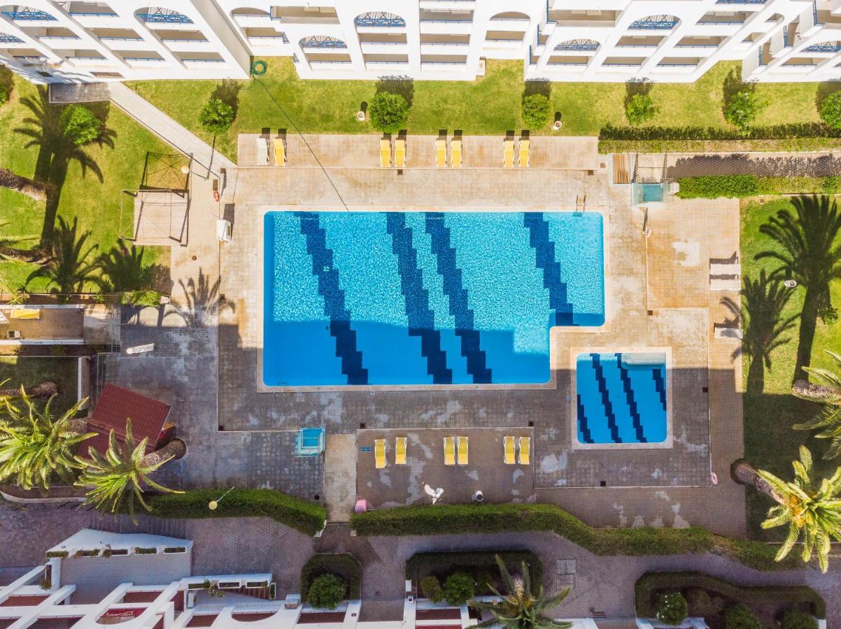 Apartment Quinta Palmeiras Pool & In Pera